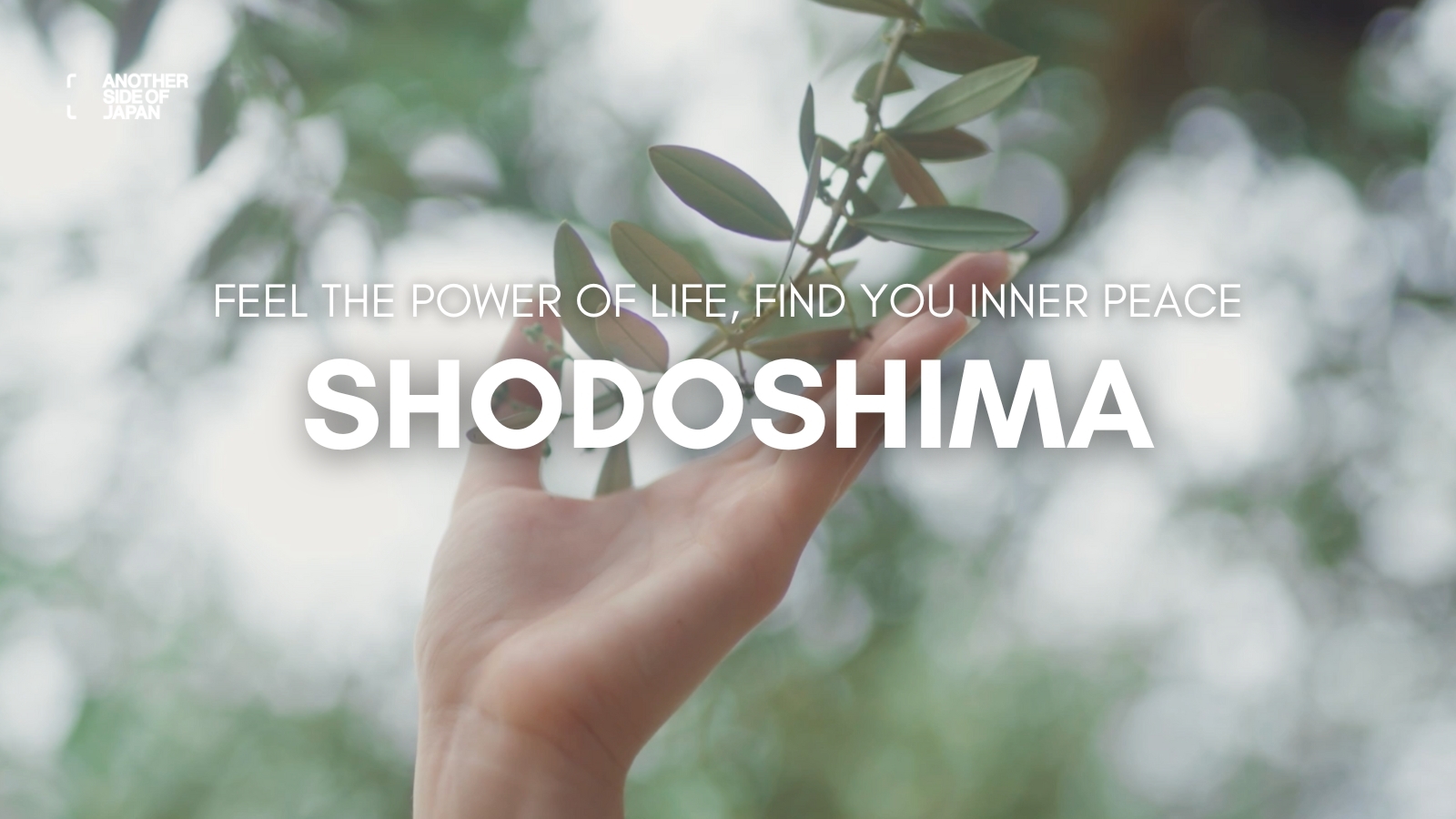 Another Side of Japan-KAGAWA | A Journey to Yourself: Find Inner Peace on Japan’s Olive Island – Shodoshima,KAGAWA